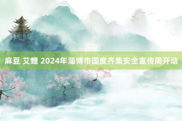 麻豆 艾鲤 2024年淄博市国度齐集安全宣传周开动