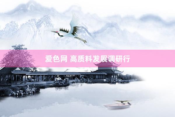 爱色网 高质料发展调研行