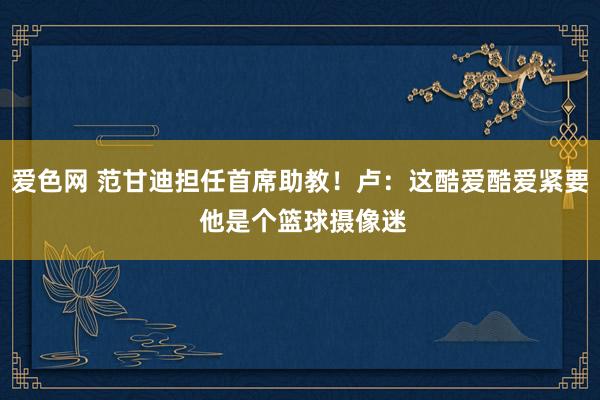 爱色网 范甘迪担任首席助教！卢：这酷爱酷爱紧要 他是个篮球摄像迷